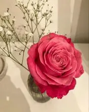 断捨離中！！アイシトート♡の画像