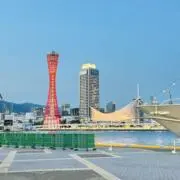 Michi-の画像