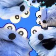 あいるーの画像