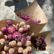 KRの画像