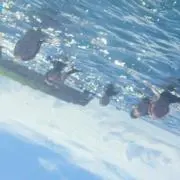 ty