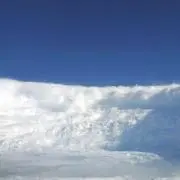 にゃんの画像
