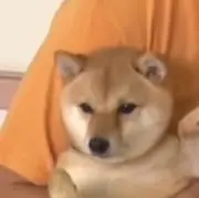 aの画像
