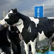 mooの画像
