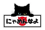 にゃんこ先生の画像