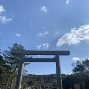 いちごの画像