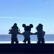 Mickey118の画像