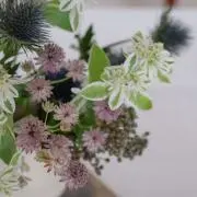 loonyaの画像