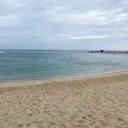 のんの画像