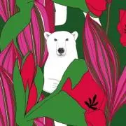 kuma