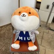 ✨の画像