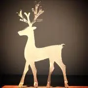 HYM95の画像