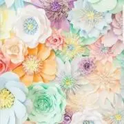hinano◡̈*✧売り切りセールの画像