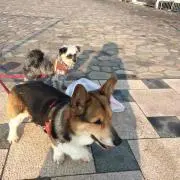 れいなの画像