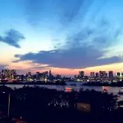 みそにの画像