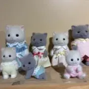 s⭐︎s