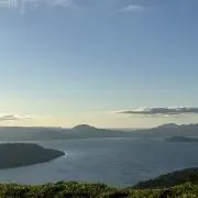 サルコスクス