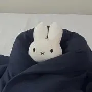 さると。 グッズ整理中の画像