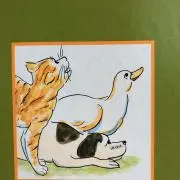 なみの画像