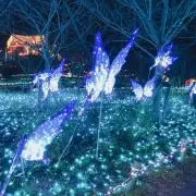 akkkaの画像