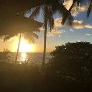 Mi♡の画像