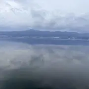 キムチの画像