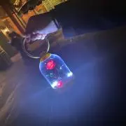 ももの画像