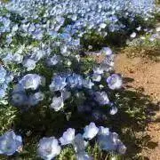 yuuの画像