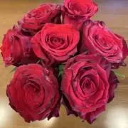 jjj judyの画像