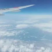 sakusakuの画像