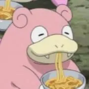 たぬどんの画像