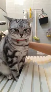 みくれいち