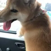 きー
