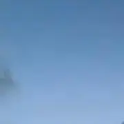 お茶の画像