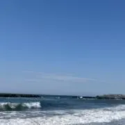 こちさの画像