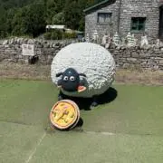 rocoの画像