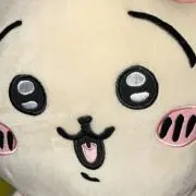 さぁちゃんの画像