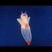 のんのん'sの画像