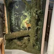 おとうふの画像