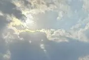 ゆらの画像