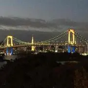 ポーラベアーアンドオーロラの画像