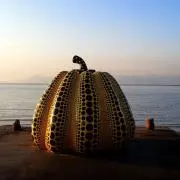 MOFMOF✩.*˚  【プロフ必読】の画像
