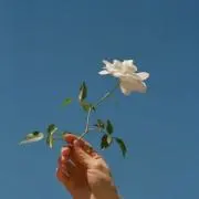 mmの画像