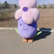 mnの画像