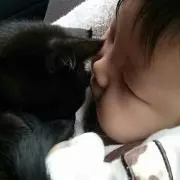 すけ