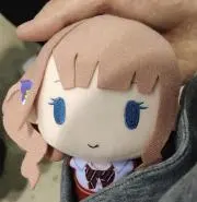Holoscopeの画像