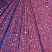 りりりの画像