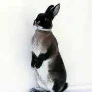 こんにちはの画像