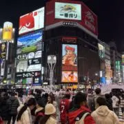 旅行好きの画像