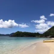 tomoの画像